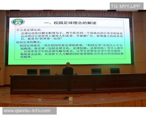 南京足球队团队协作的成功经验与挑战分析探讨