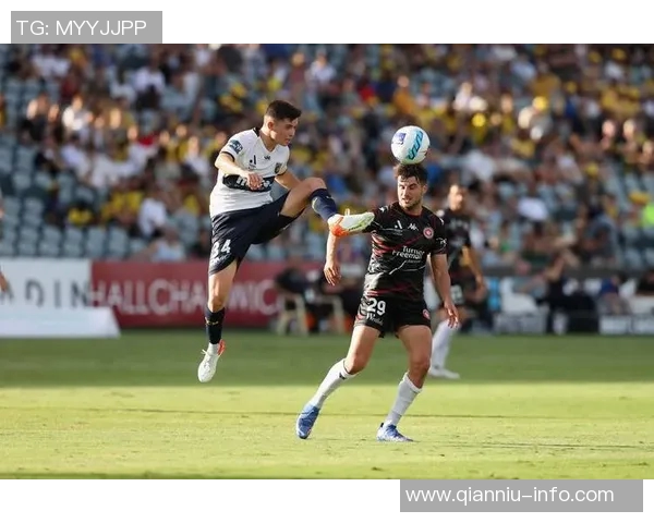 惠灵顿凤凰主场迎战中部海岸球队期待精彩对决与胜利之争